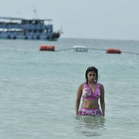 Payal Ghosh hot n spicy bikini gallery | Picture 71812